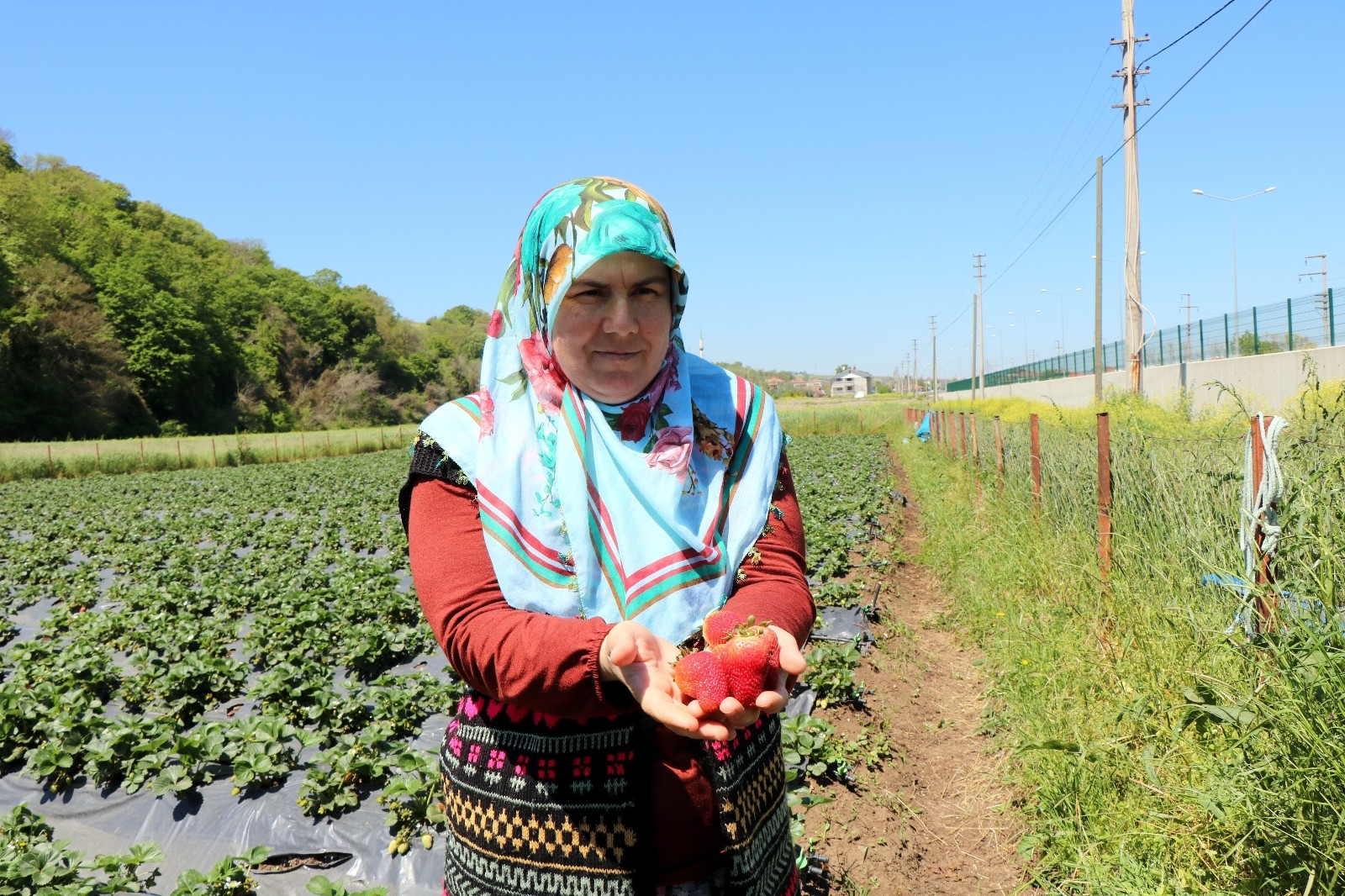 Samsun’da tarıma kadın damgası: ÇKS’ye kayıtlı 68 bin 507 işletmeden 9 bin 69’u kadınlara ait