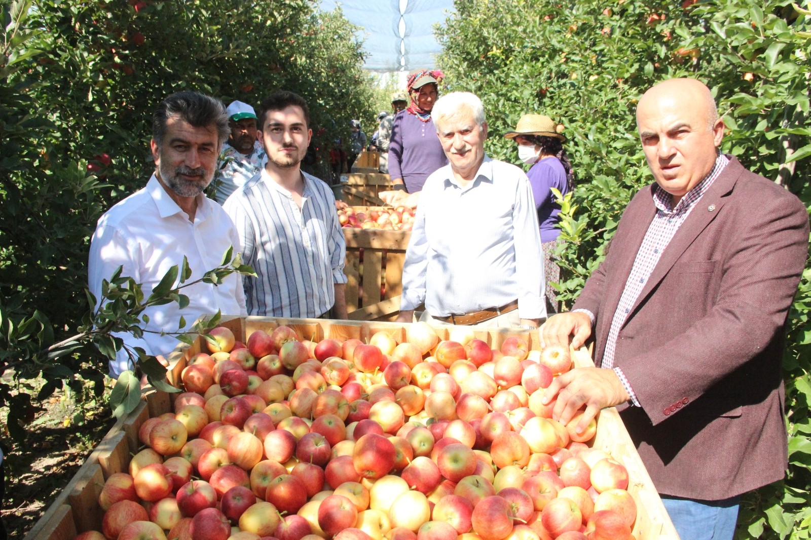 Türkiye’nin elma deposu Karaman’da 55 gün sürecek olan elma hasadı başladı
