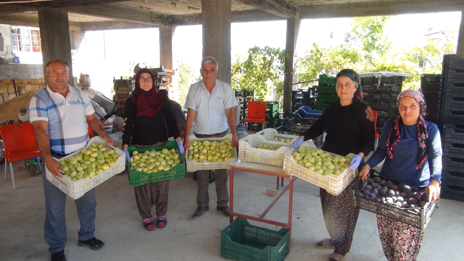 Silifke’de yaş incir 10 lira, kuru incir ise 50 liradan satılıyor