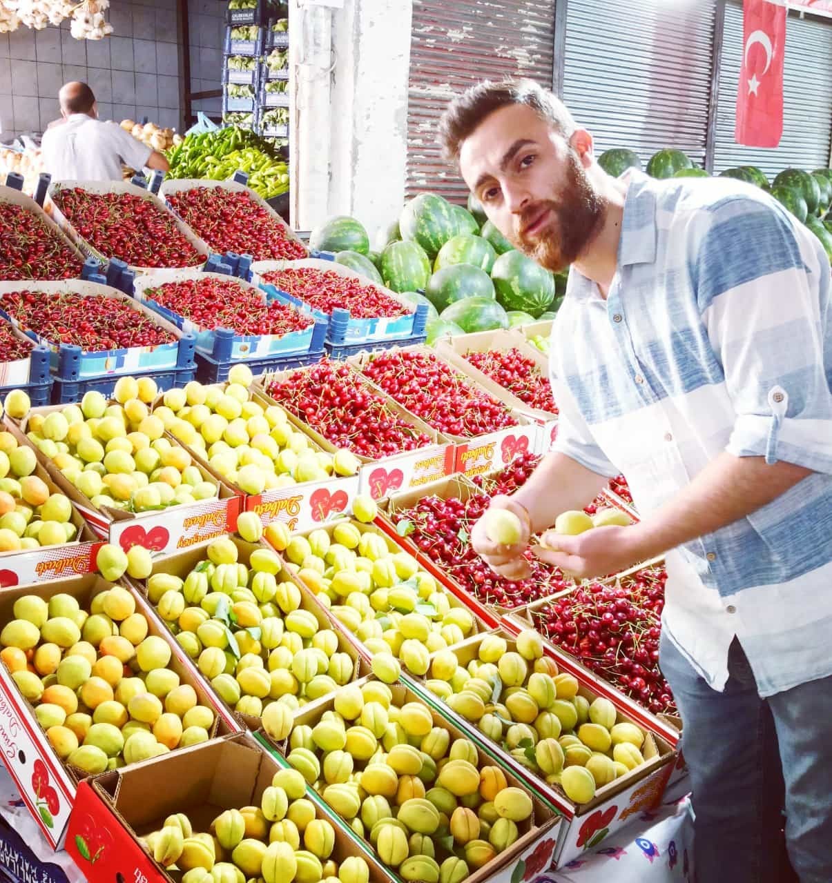 Hasadı başlayan yaş kayısı en pahalı meyve olarak dikkat çekiyor