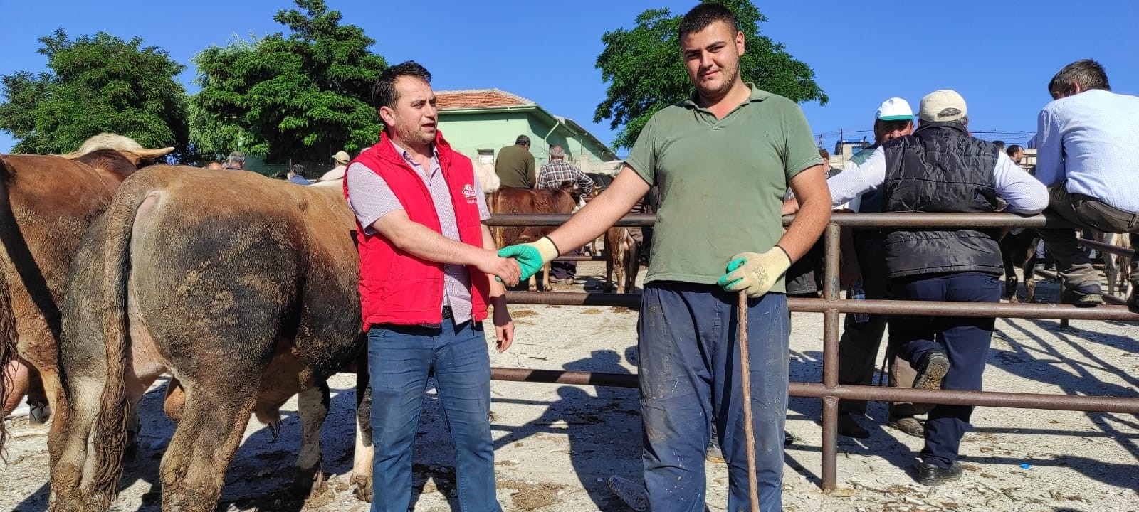 Yozgat’ta kurbanlıklar görücüye çıktı