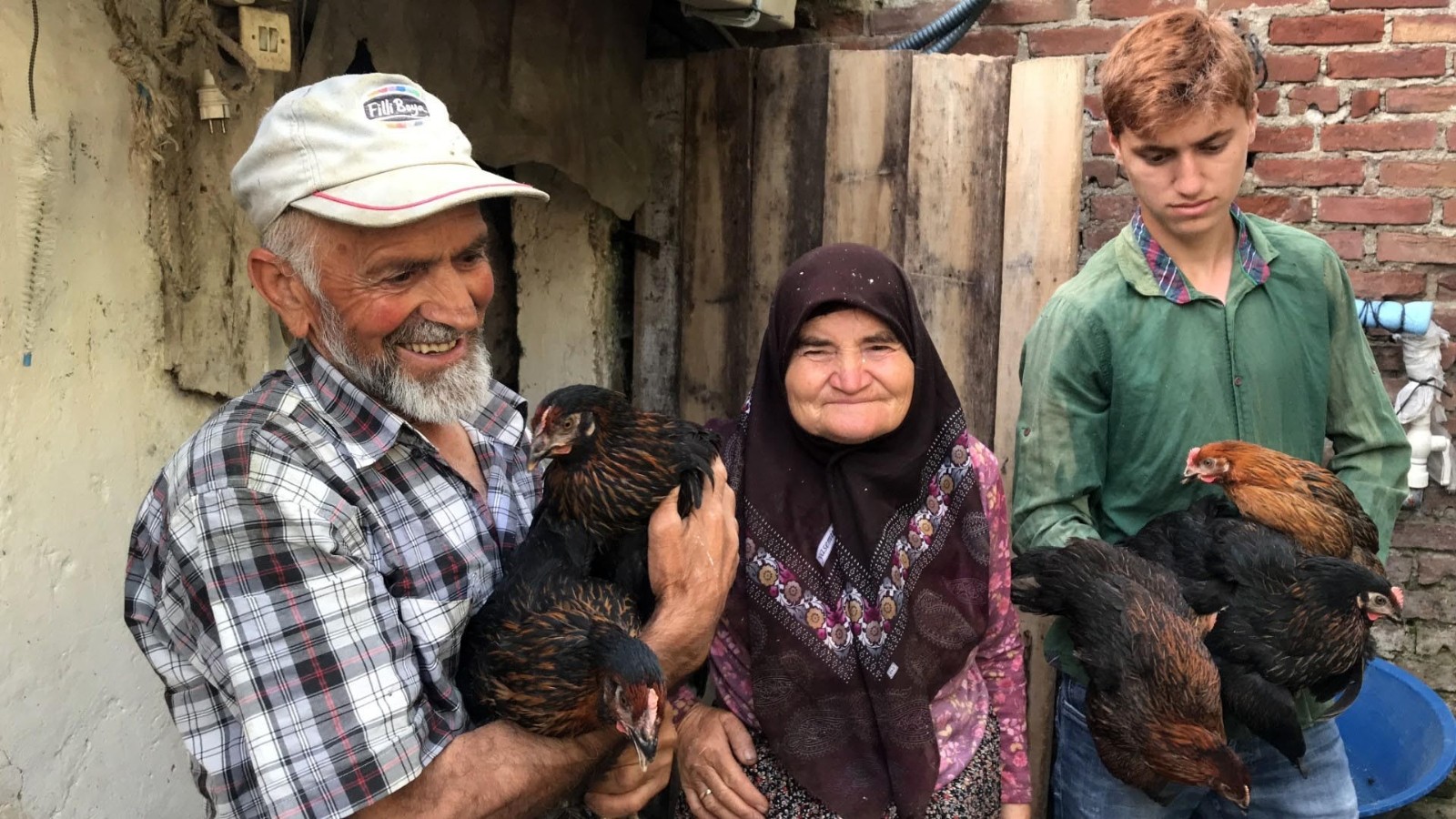 Türkiye’nin ilk yerli tavuk ırkı, çiftçilere teslim edilmeye başlandı