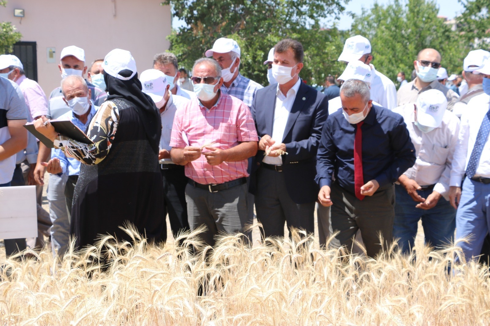 Yeni geliştirilen hububat tohumları çiftçilere tanıtıldı