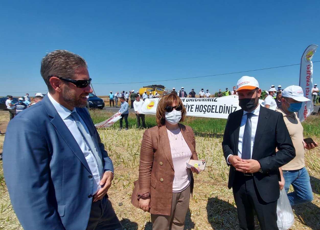 TARSİM, Tekirdağ ilinde kanola ve buğday hasadına katıldı