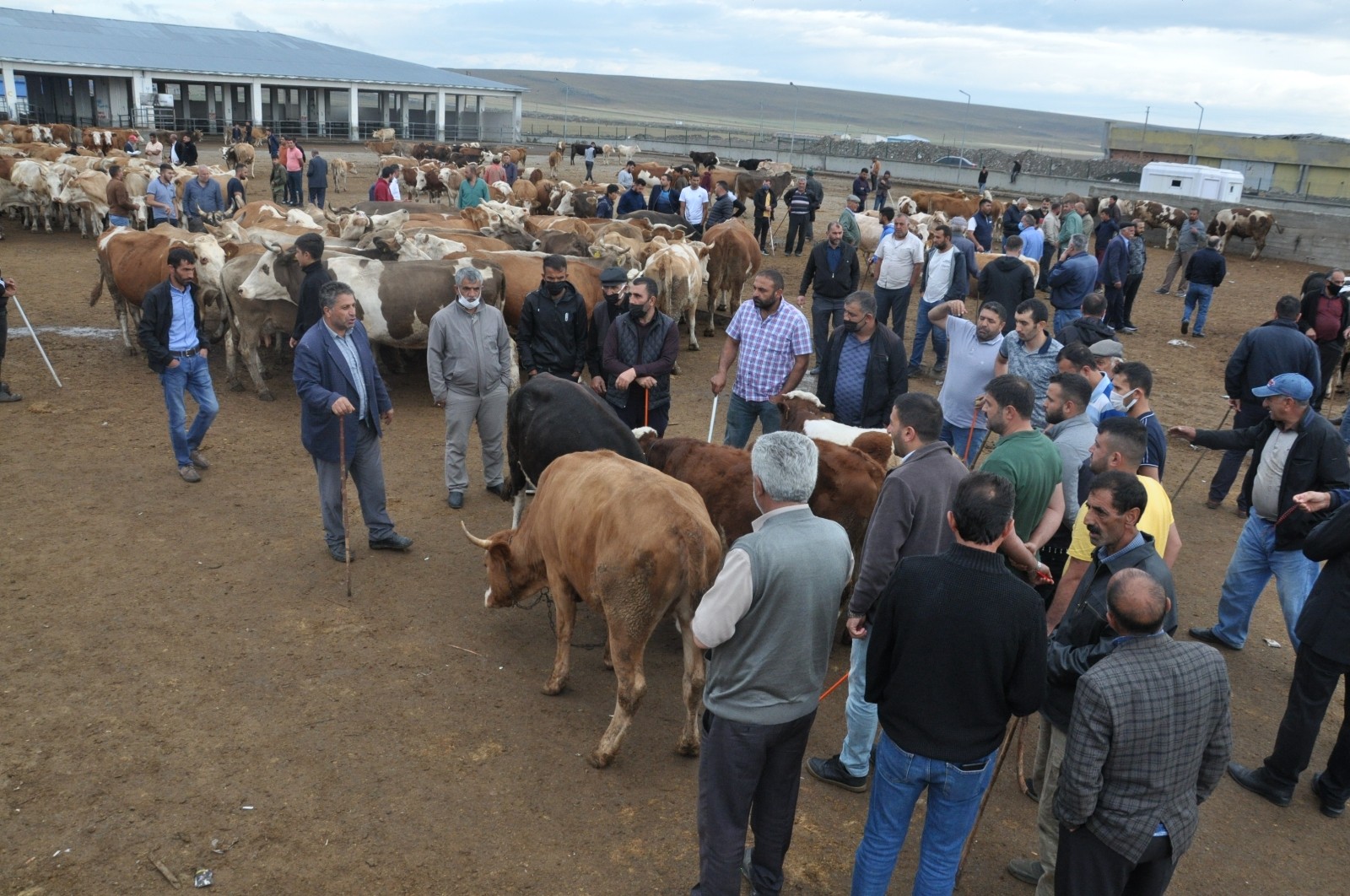 Kars’ta kuraklık kurban satışlarını olumsuz etkiledi