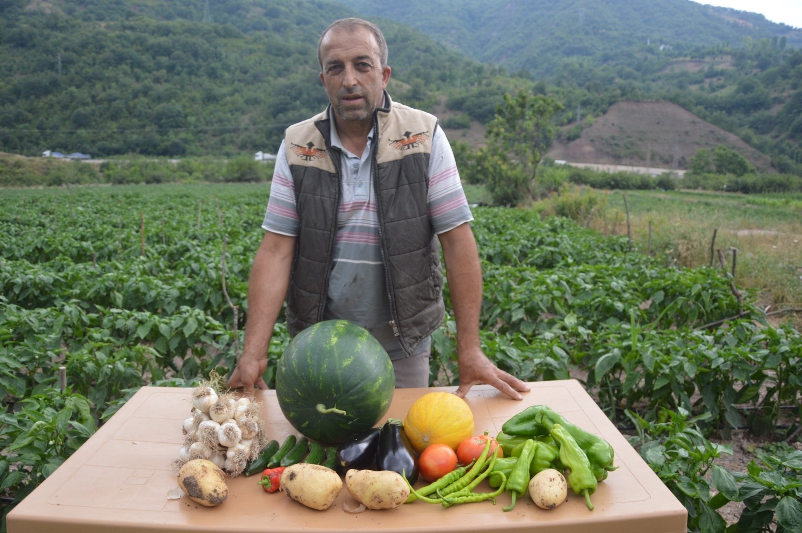 Atıl durumdaki araziyi ekilebilir hale getirdi, 2 milyon lira kazanç bekliyor