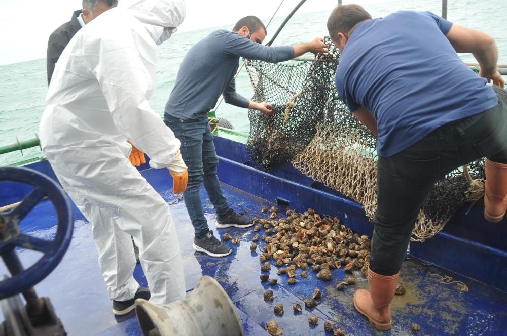 Samsun’da en çok hayvansal ürün ihracatı balık yağı ile gerçekleşti