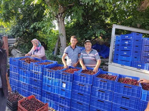 Kirazın merkezi Bigadiç’te sezon sona erdi