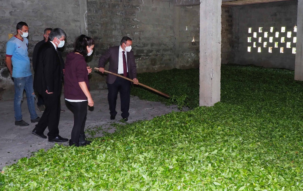 ÇAYKUR, rekor yılını yaşıyor