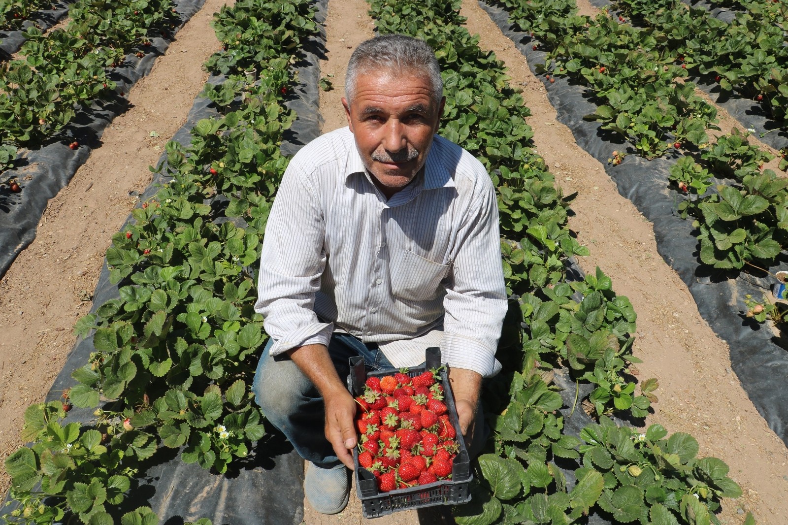 Yetiştiremezsin dediler, şimdi taleplere yetişemiyor