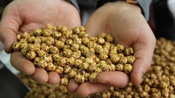 Çorum leblebisinin sağlıklı ve besleyici atıştırmalık olduğu tescillendi